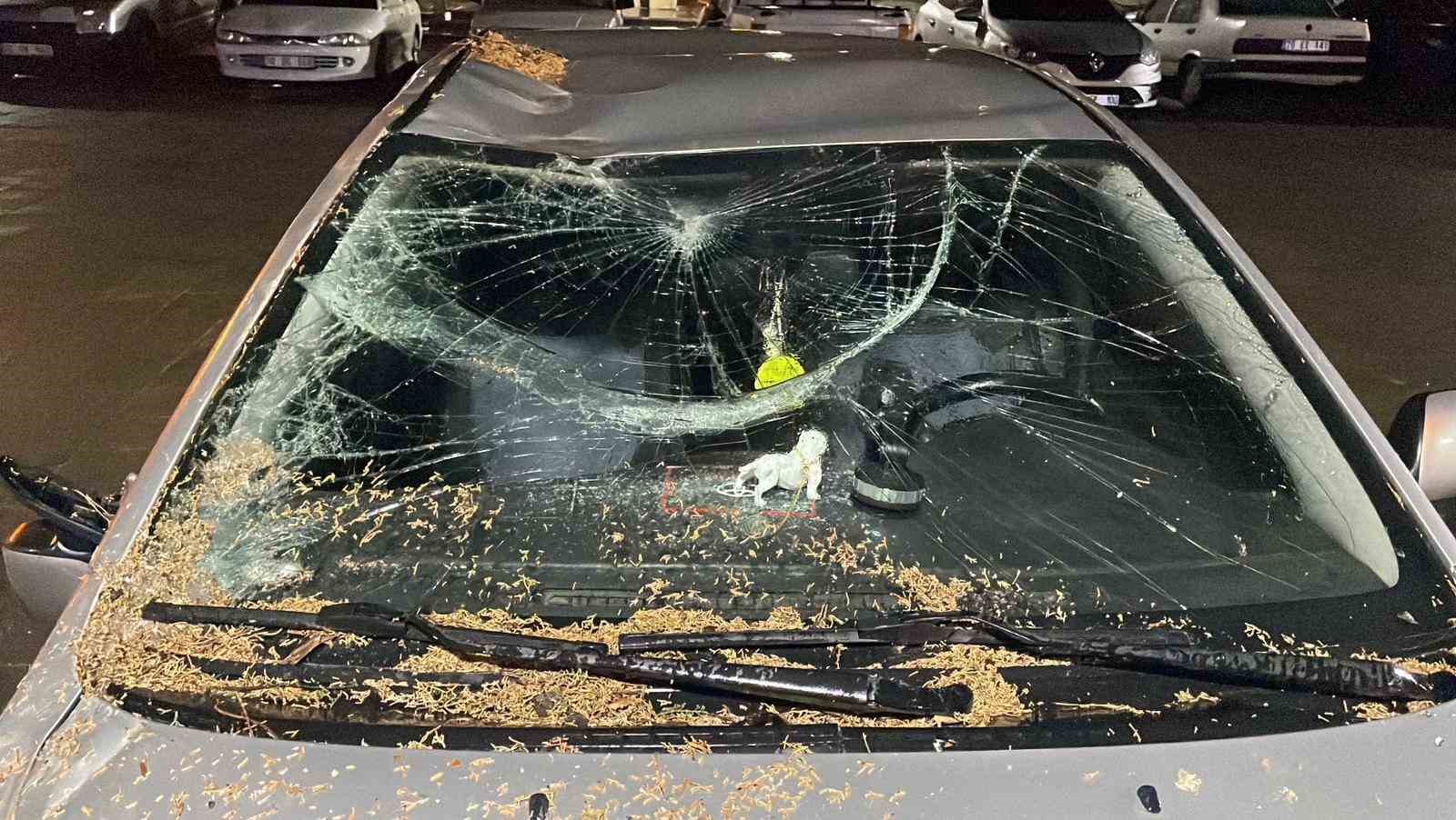 Karaman’da fırtına hayatı olumsuz etkiledi 5 karamanda firtina hayati olumsuz etkiledi 1 La8CrIXh