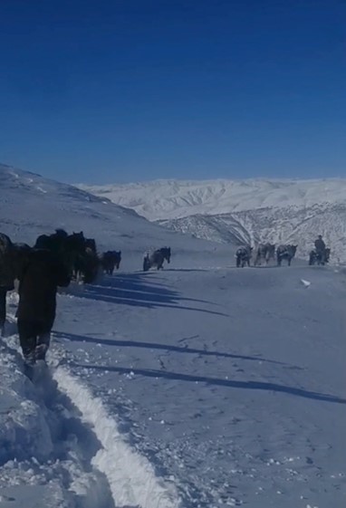 karda mahsur kalan at ve katirlar guvenlik koruculari tarafindan kurtarildi 1 ewMNYJSf