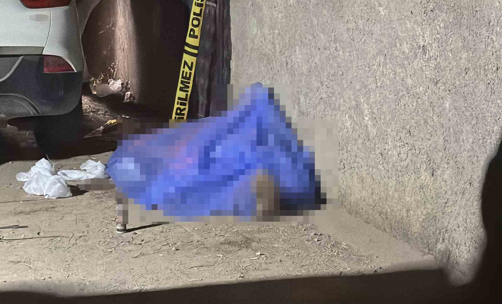 kardes cinayetinin nedeni kira geliri cikti 6 EkBMQwYc