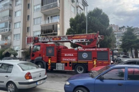 karga-kurtarilirken-arkadaslari-adeta-kusatma-yapti-saldirgan-davranislar-sergiledi-LSanOLJE.jpg