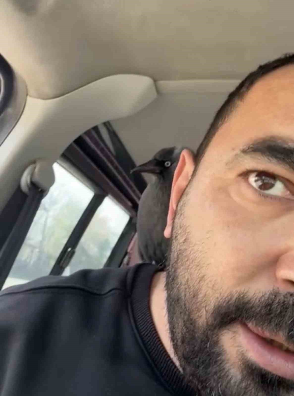 karga once silecege sonra surucunun omzuna kondu 1 k2N1zNfB