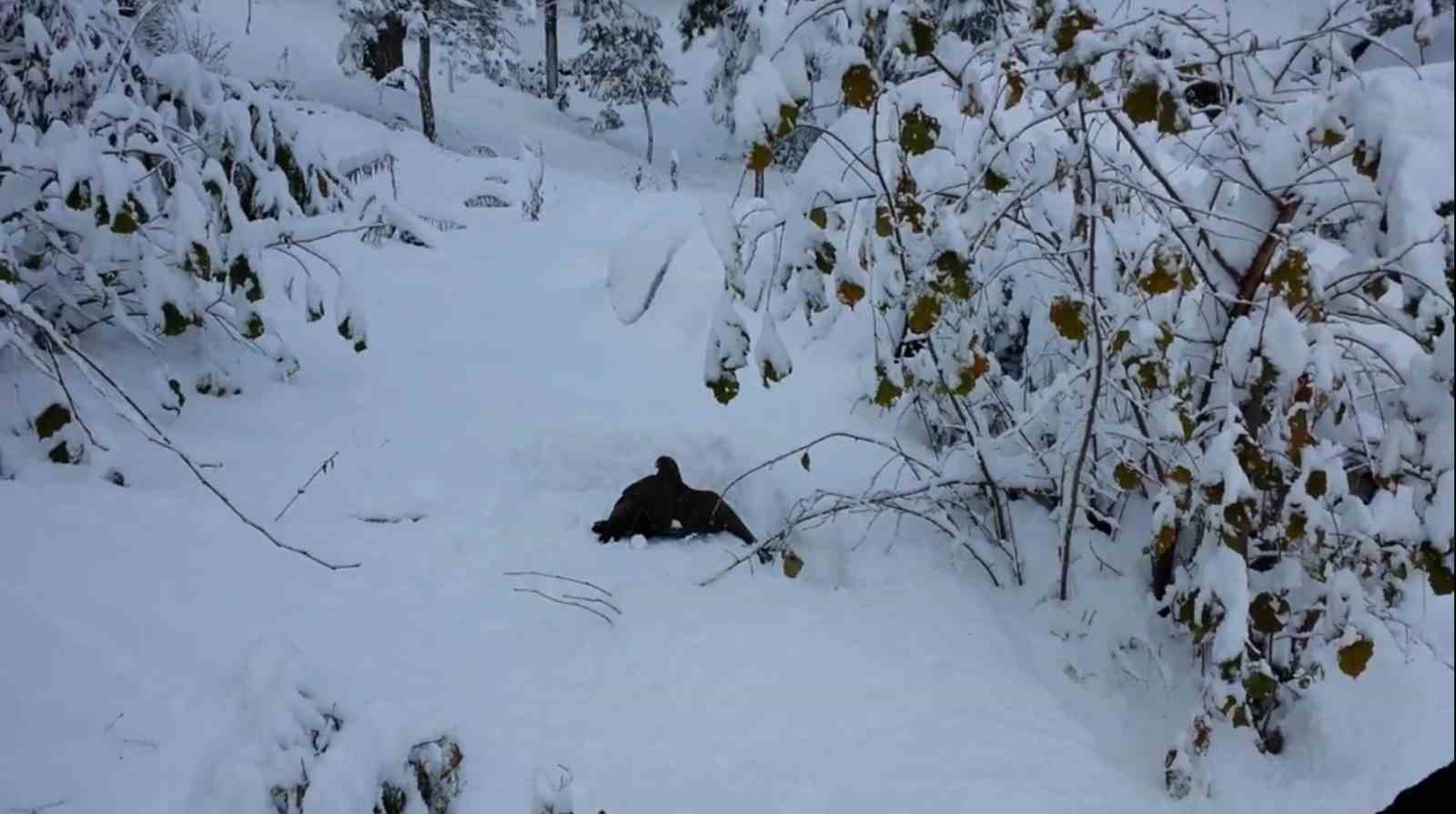 kargayi atmacanin pencelerinden yoldan gecen vatandaslar kurtardi 2 wugetRRc