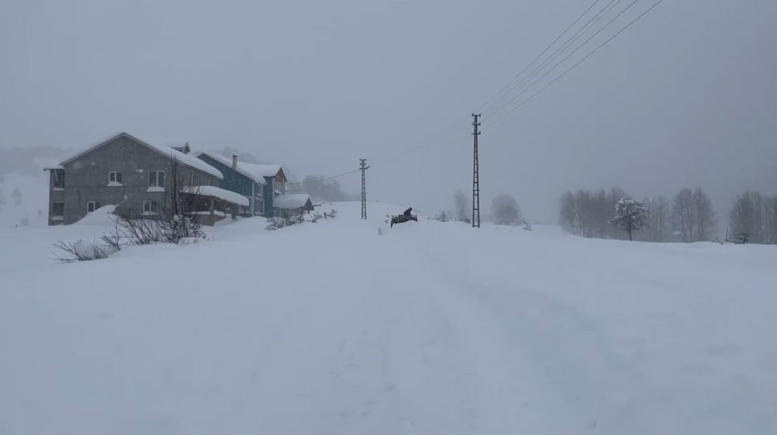 karin tadini cikarmak icin istanbuldan sivasa akin ettiler 0 21Npa4ec