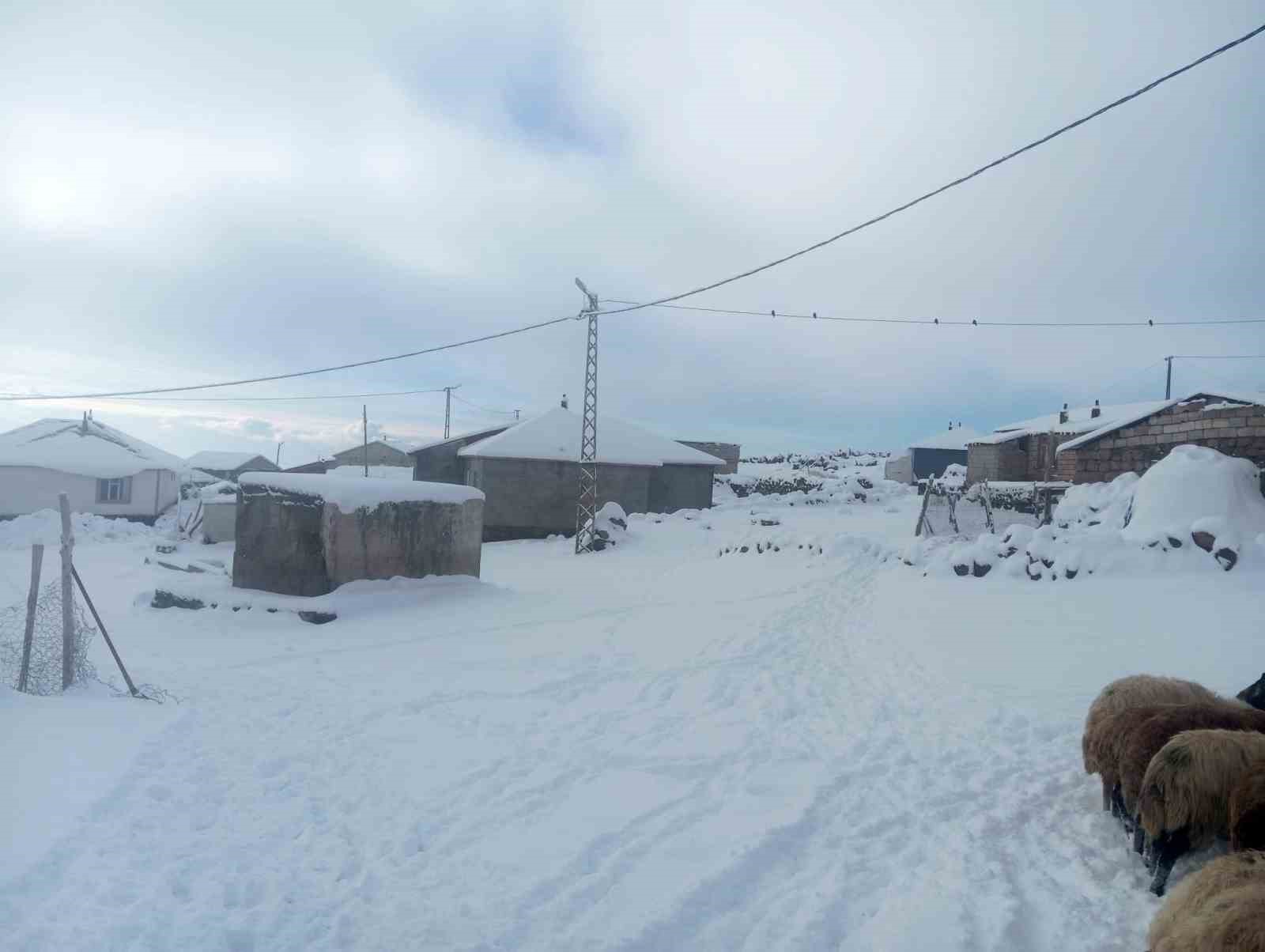 karla birlikte turkiyenin en yuksek koyu kiskilida besiciler zor durumda kaldi 0