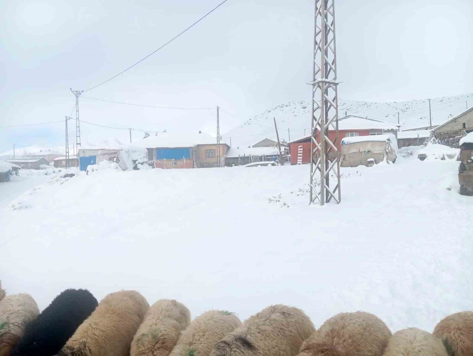karla birlikte turkiyenin en yuksek koyu kiskilida besiciler zor durumda kaldi 2 16Qj4Sba