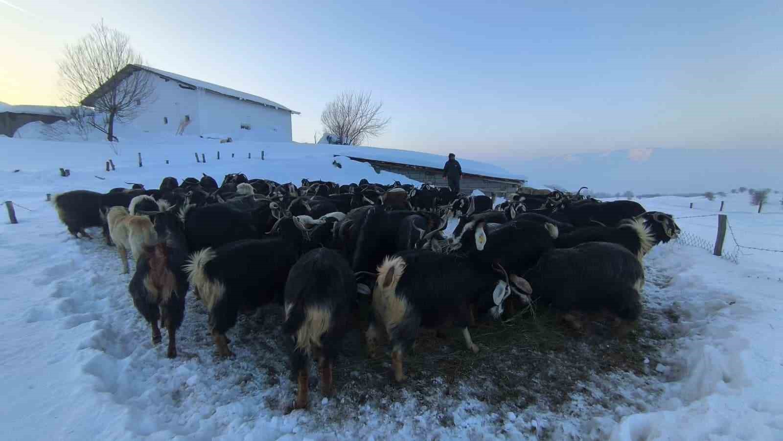 karla kapli mezrada mahsur kalan koylunun imdadina ekipler yetisti 3