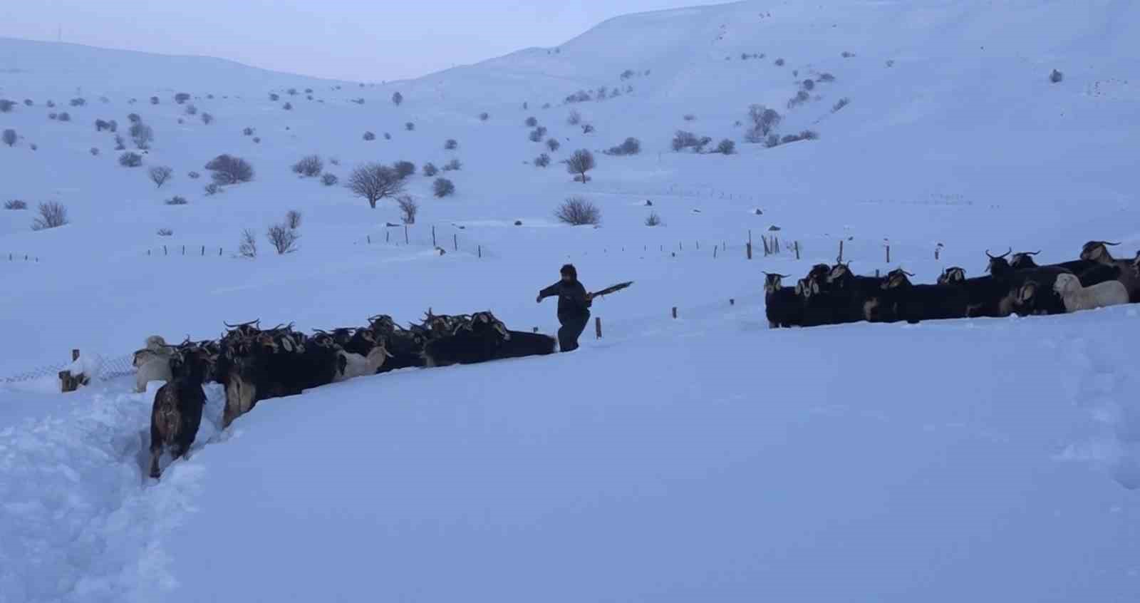 karla kapli mezrada mahsur kalan koylunun imdadina ekipler yetisti 9 nBYnAgDT