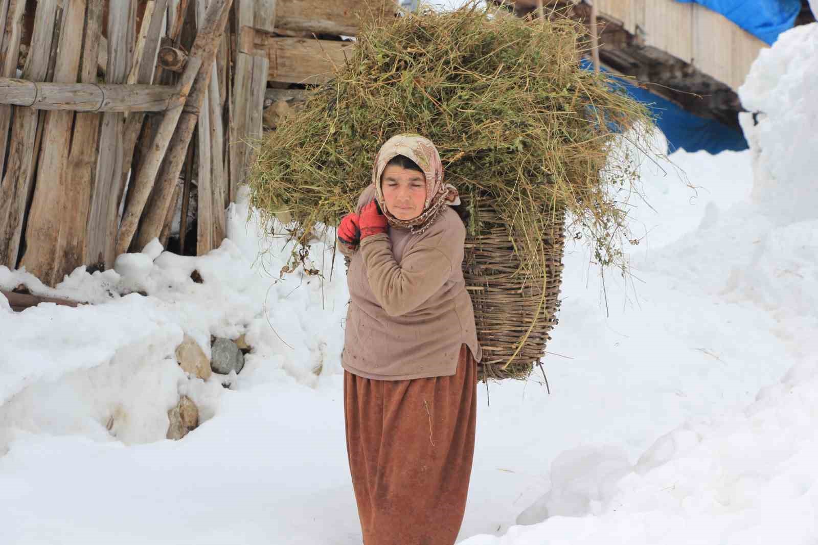 karlar altindaki dogal yasam maden koyunde sanatla bulustu 2 KZUcS3v6