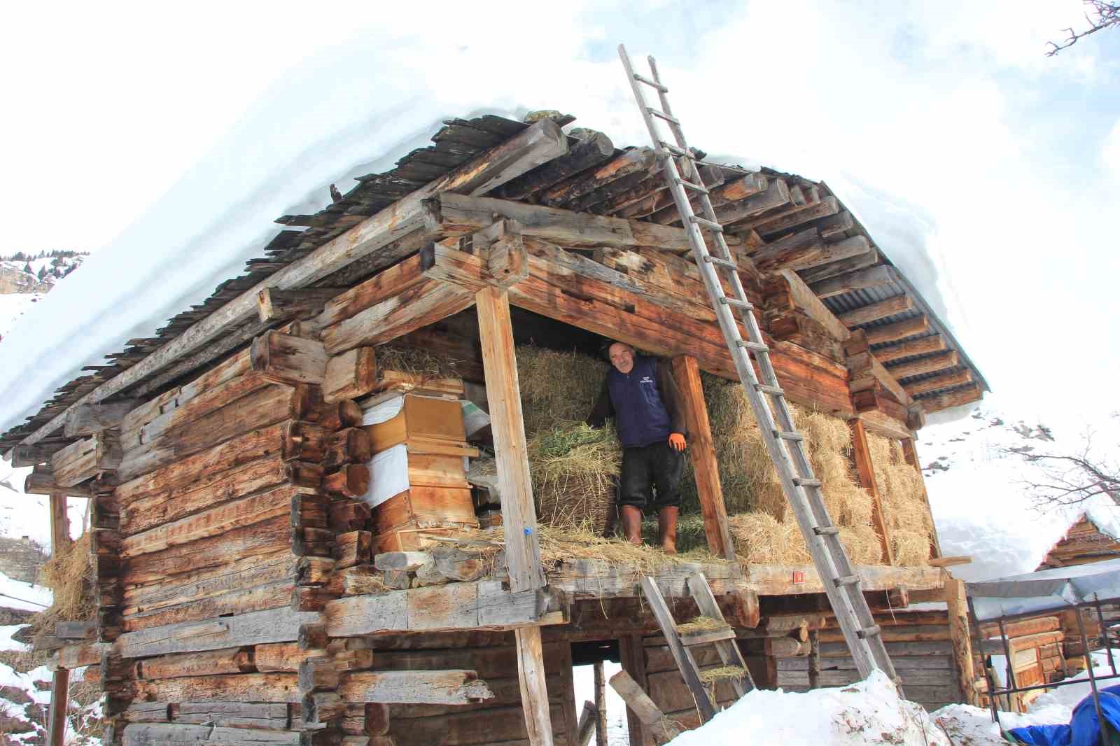 karlar altindaki dogal yasam maden koyunde sanatla bulustu 5 g8jhRz2S