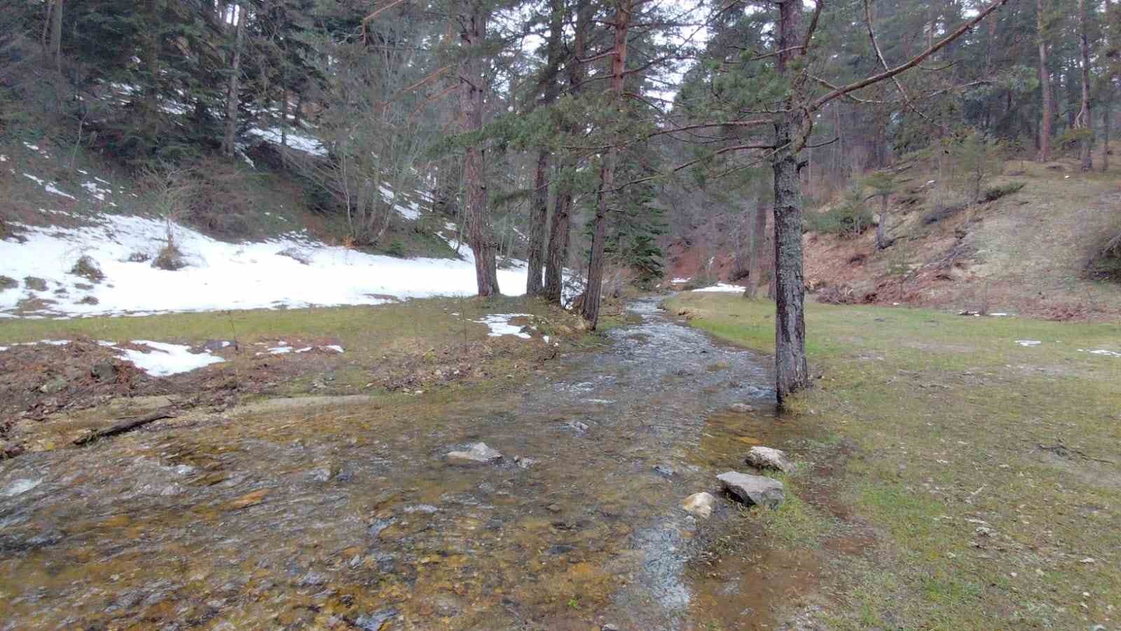 karlar eridi dereler costu cicekler acti 5 b2uf1lrO