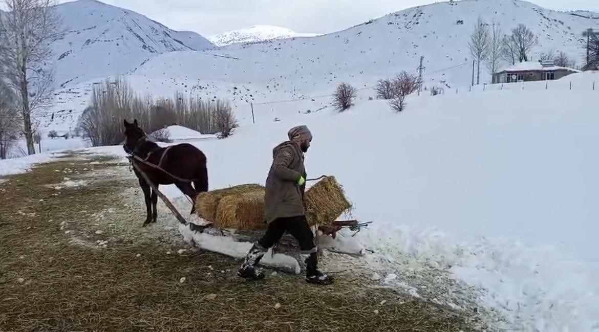 karliovada besicilerin zorlu kis mesaisi 4 d7jNEgaV