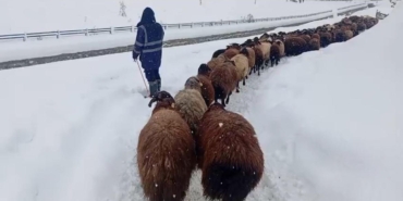 karliovada-besicilerin-zorlu-kis-mesaisi-Mq4gwxHf.jpg