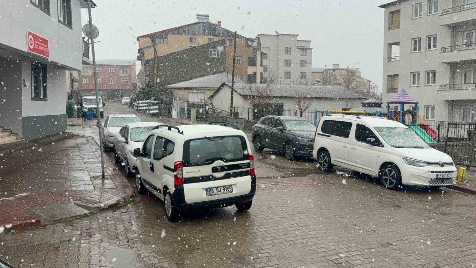 karliovada nisan kari etkili oldu 1 kp2wyH9u