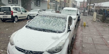 karliovada-nisan-kari-etkili-oldu-EadtWStS.jpg