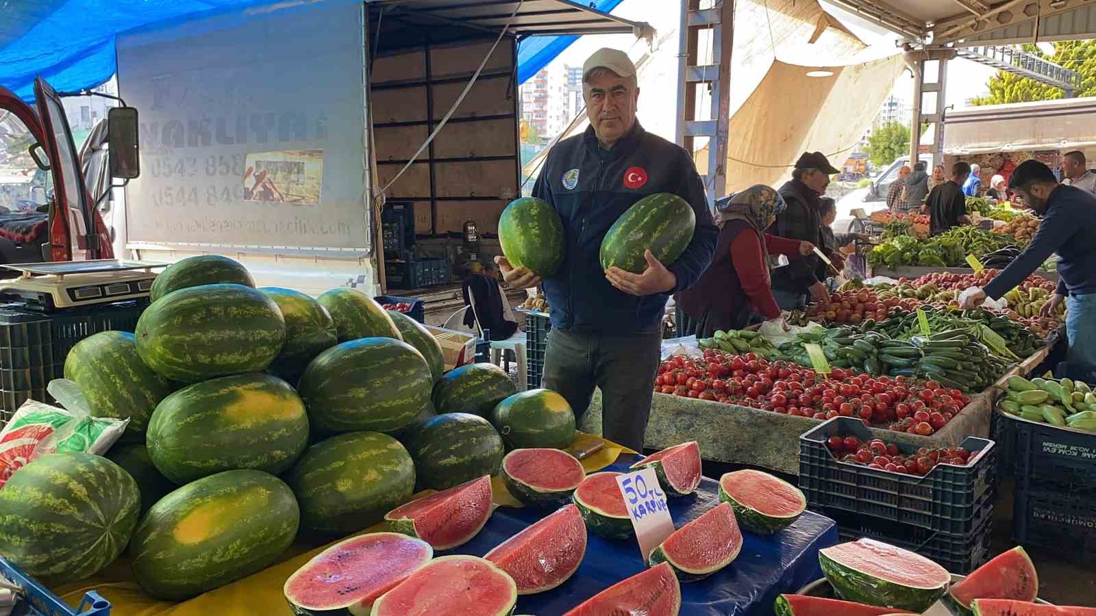 karpuz pazara dilim dilim dustu kilosu 50 tl 0