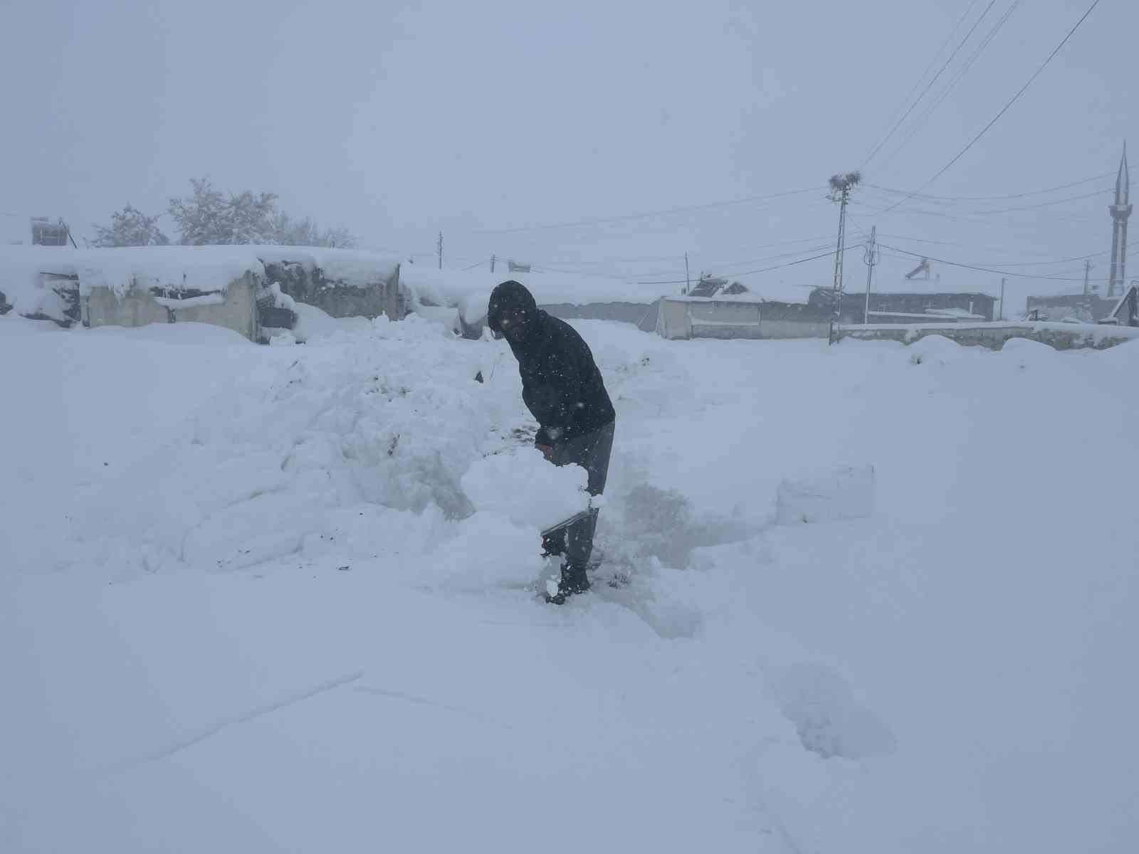 kars beyaza hapsoldu yarim asirlik kar rekoru kirildi 4 zsbUfEJy