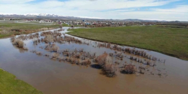 kars-cayi-tasti-agaclar-sular-altinda-kaldi-tSqRuhgf.jpg