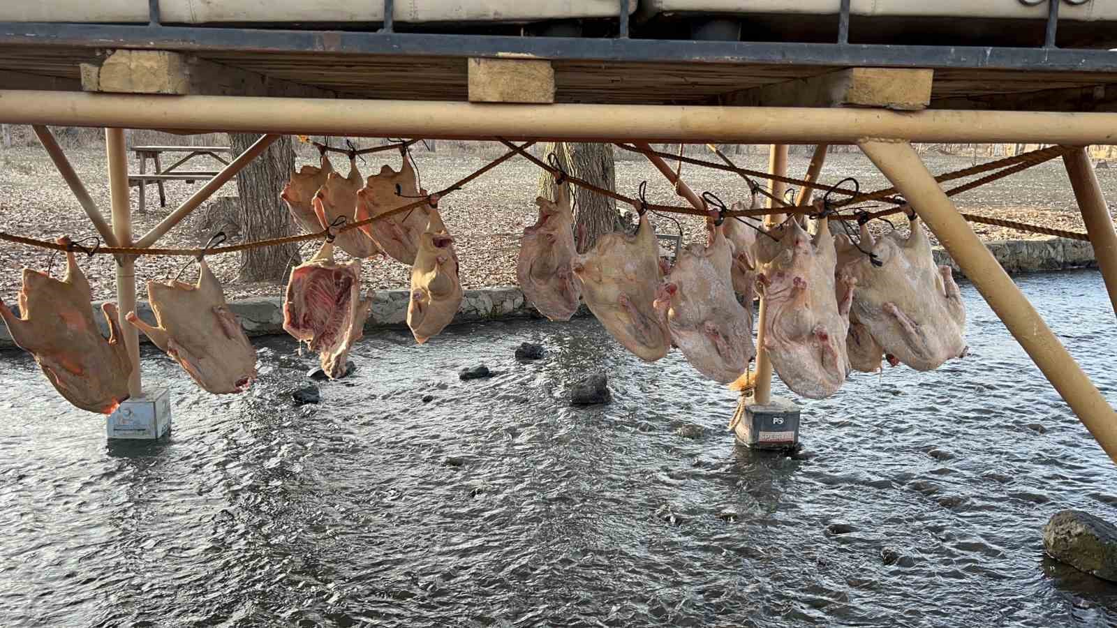 kars kazi geleneksel yontemlerle kurutuluyor kis sofralarinin vazgecilmezi hazirlaniyor 1 SKZ3LKZO