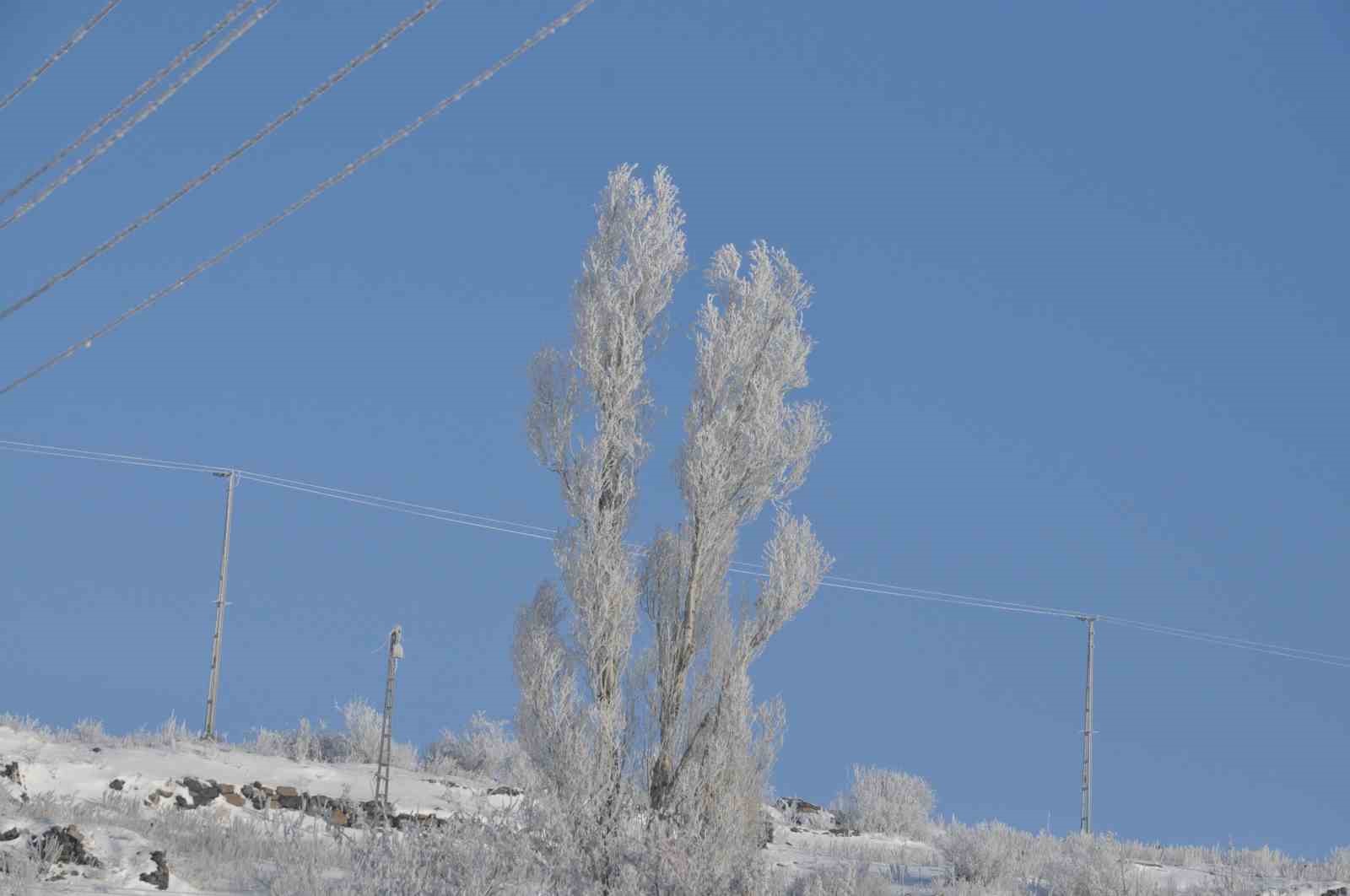 karsta beyaz zerafet 8