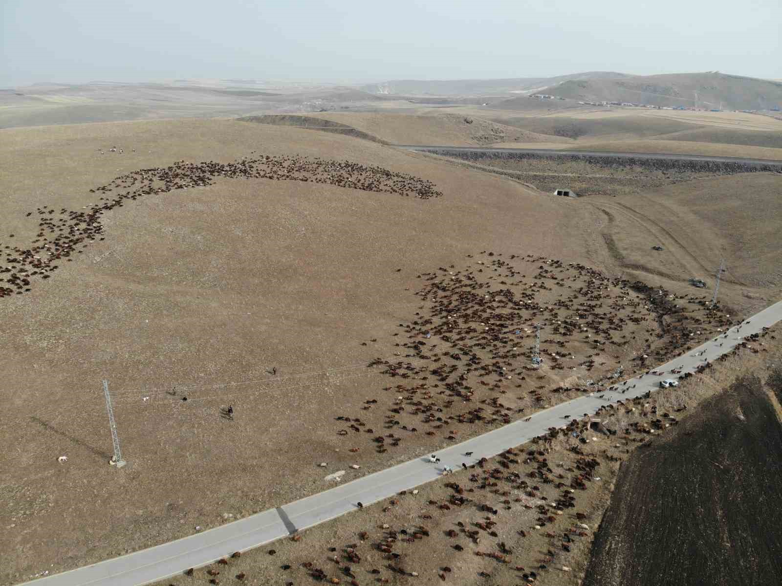 karsta gocerlerin zoru yolculugu basladi 0