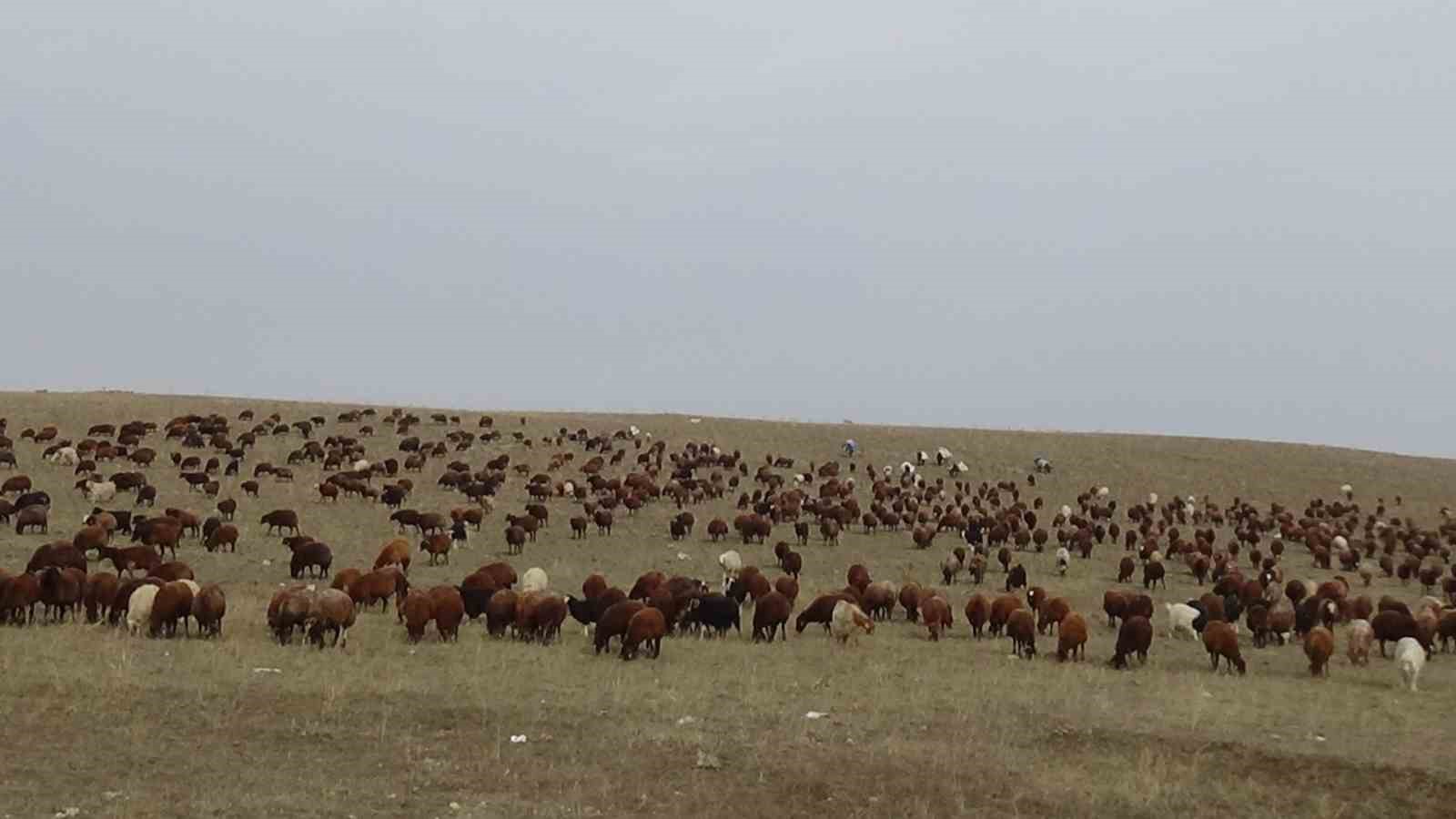 karsta gocerlerin zoru yolculugu basladi 7 JHFAmimn