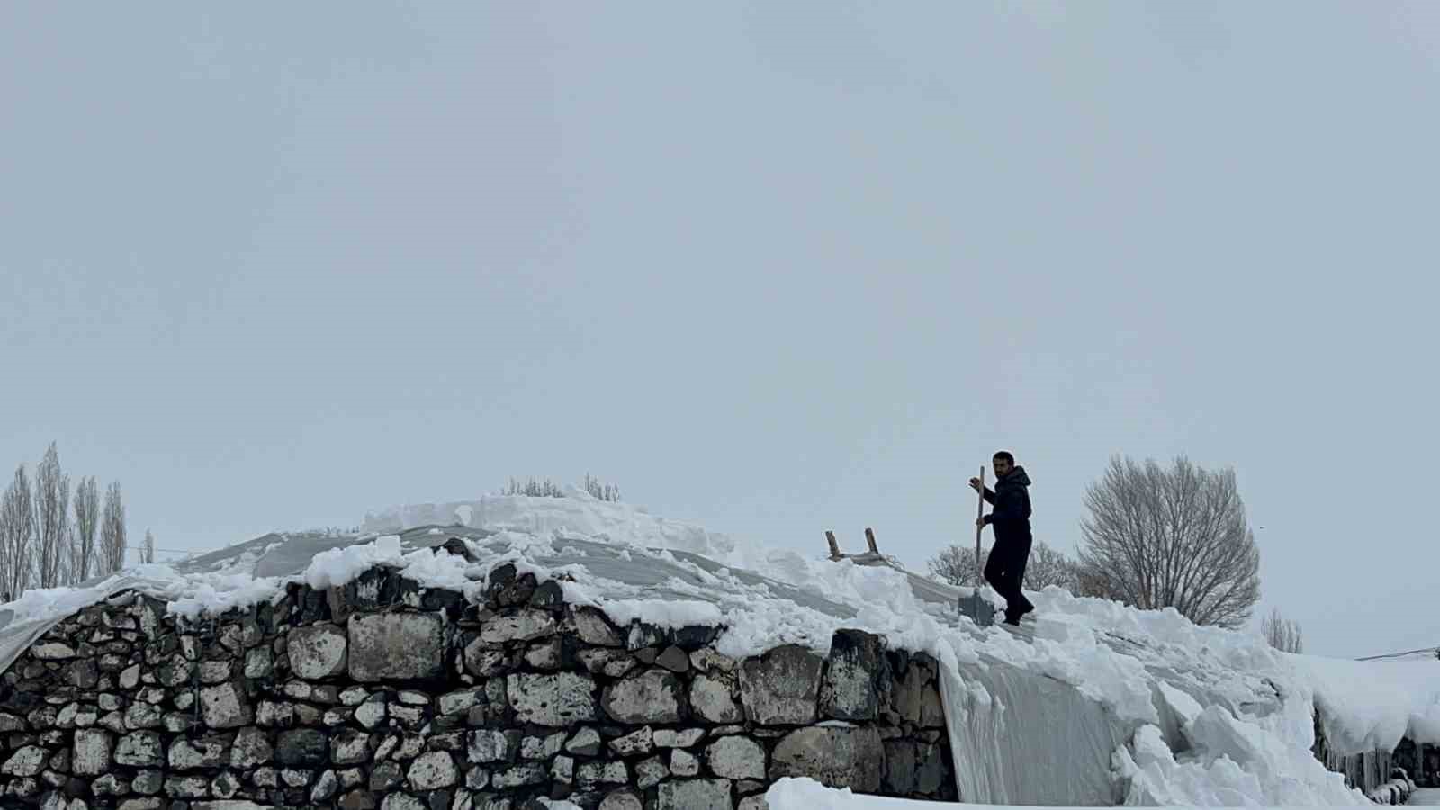 karsta koylerde ahirlar icin seferberlik 0 WhGgHMGe