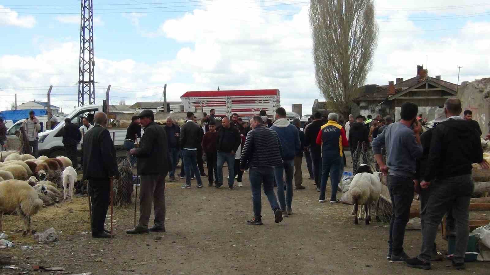 Kars’ta kurban pazarı hareketlendi: 700 kiloluk süslenmiş düve ilgi odağı oldu 7 karsta kurban pazari hareketlendi 700 kiloluk suslenmis duve ilgi odagi oldu 3 diWNZZIL