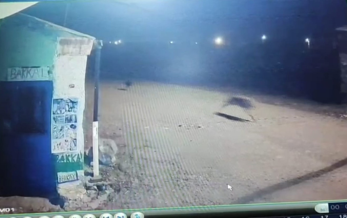 karsta kurtlar tilkiyi kopekler kurtlari kovaladi 2 azSE3Y9G