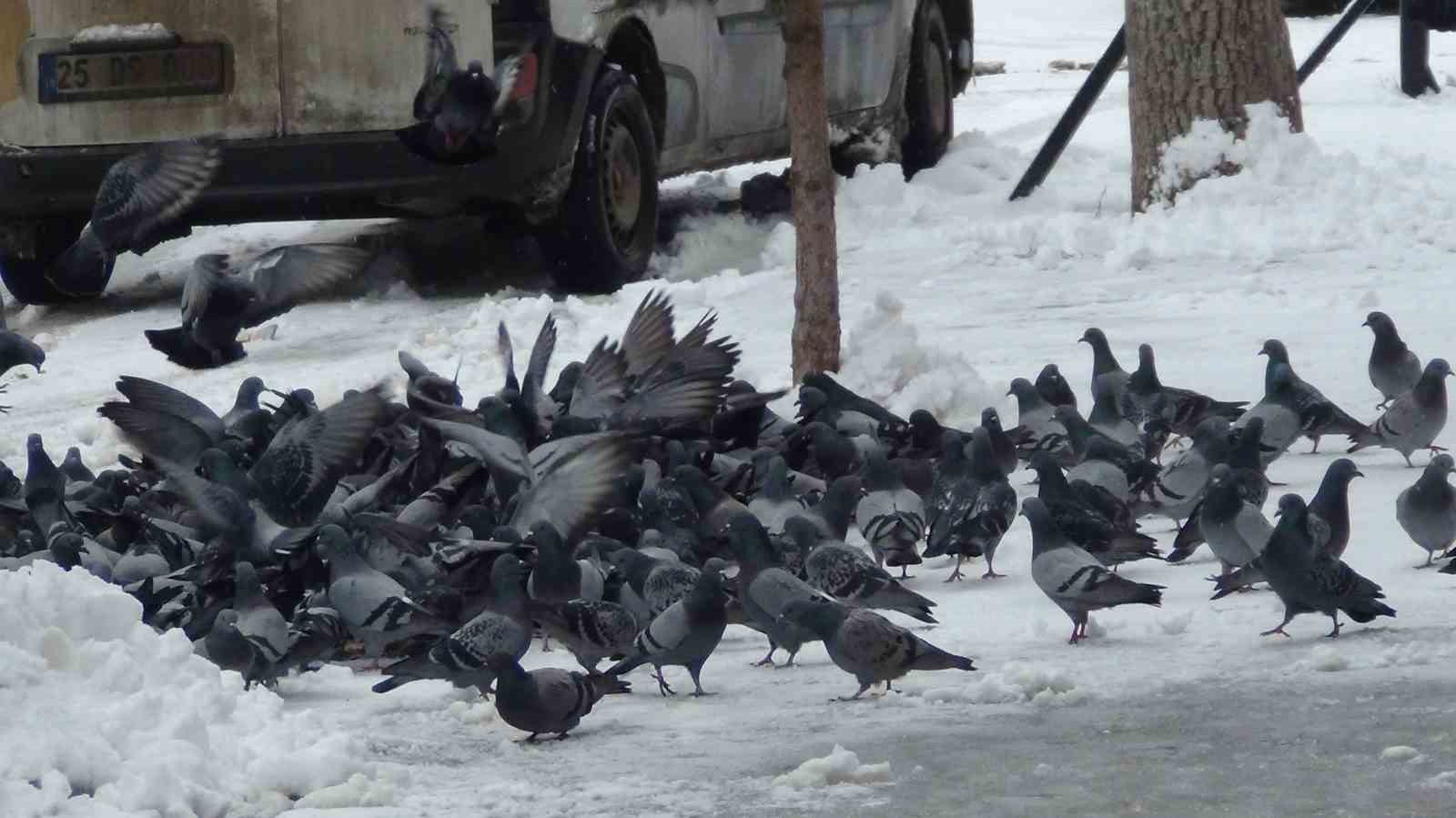 karsta mart ayinda yagan kar kenti yeniden beyaza burudu 14 Ktez42gy