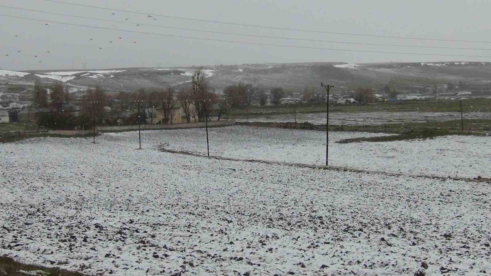 karsta saricam ormanlari beyaza burundu tarim arazileri kar altinda 9 IMMg9lJk