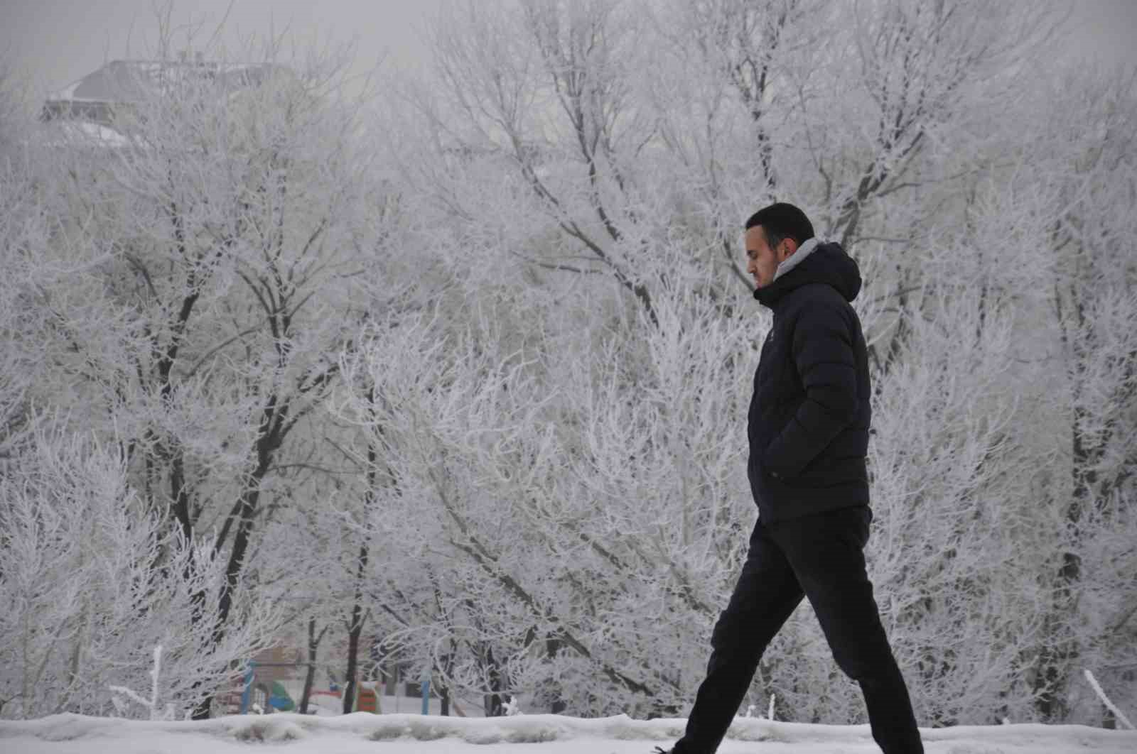 karsta soguktan agaclar kiragi tuttu 1 mqZKPgOX