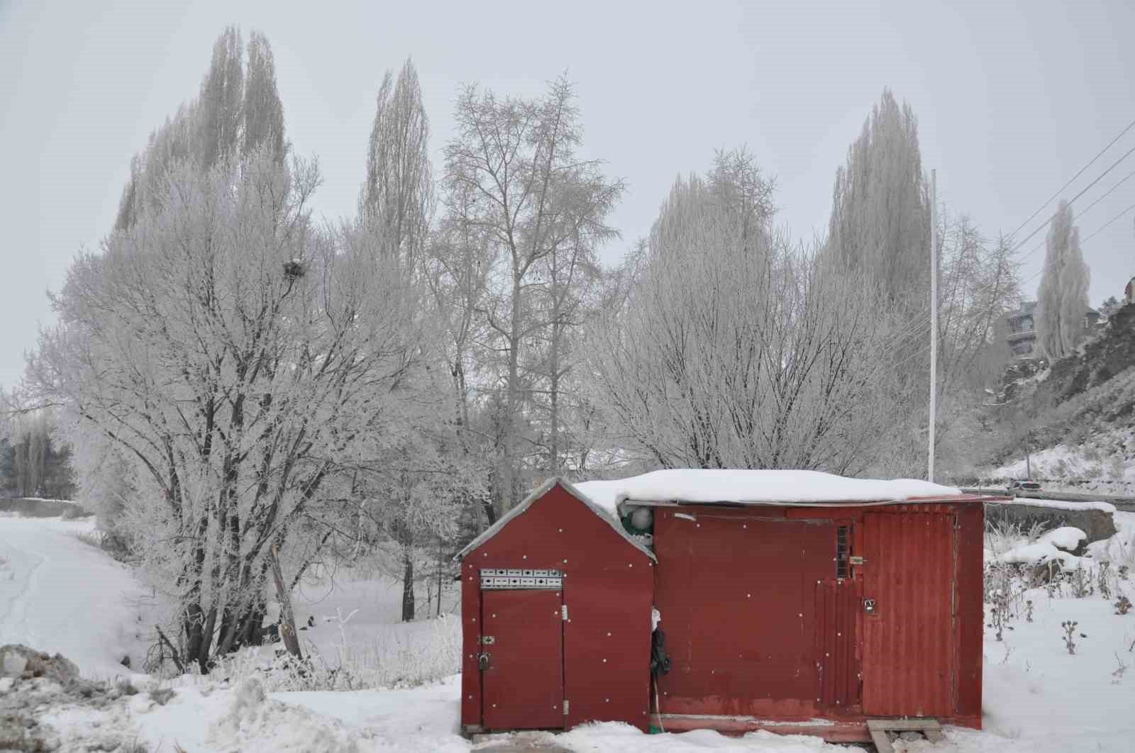 karsta soguktan agaclar kiragi tuttu 3 ZYTQ8spX
