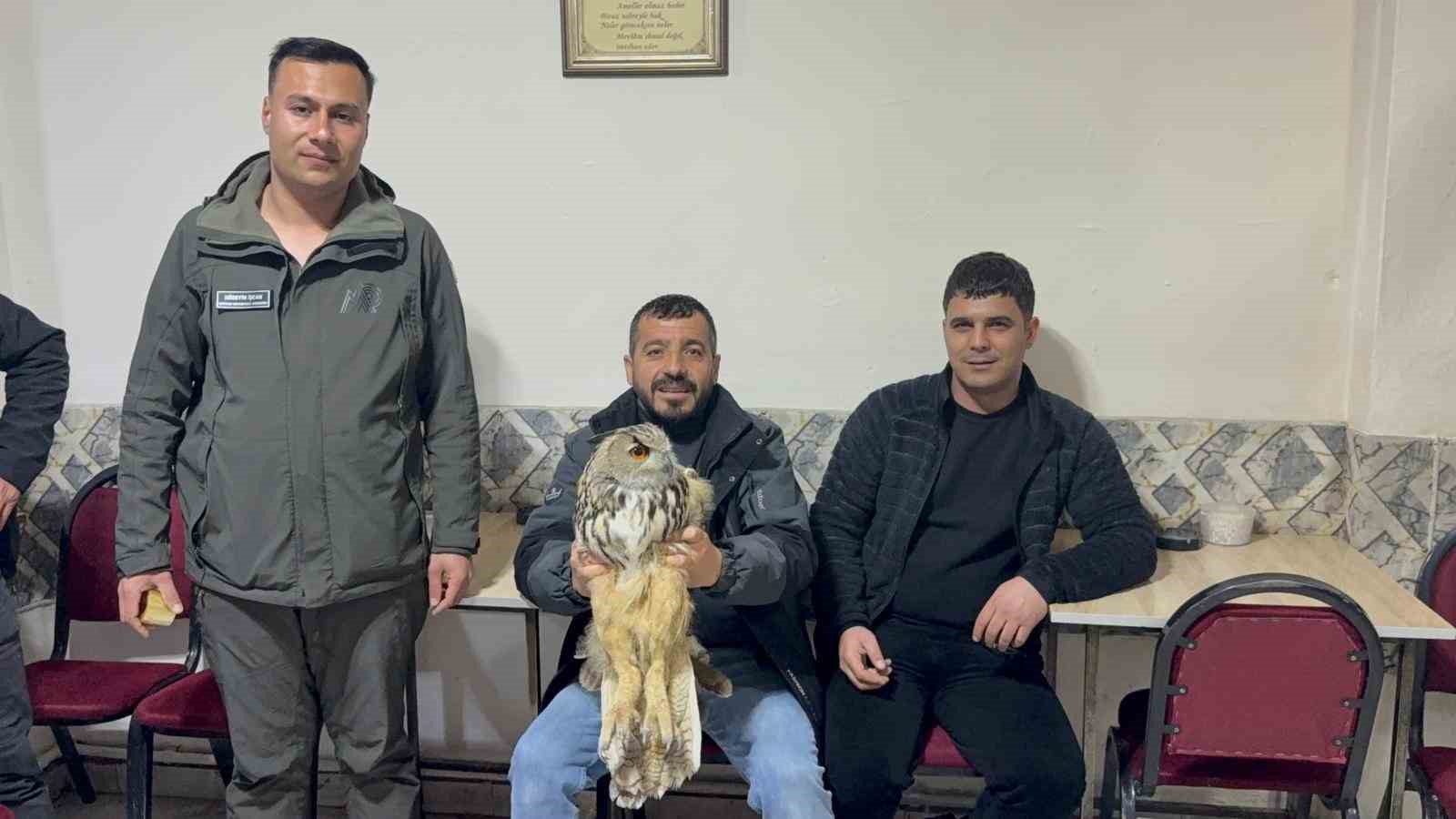 karsta yarali puhuya sefkat eli 1 pI9dABcv