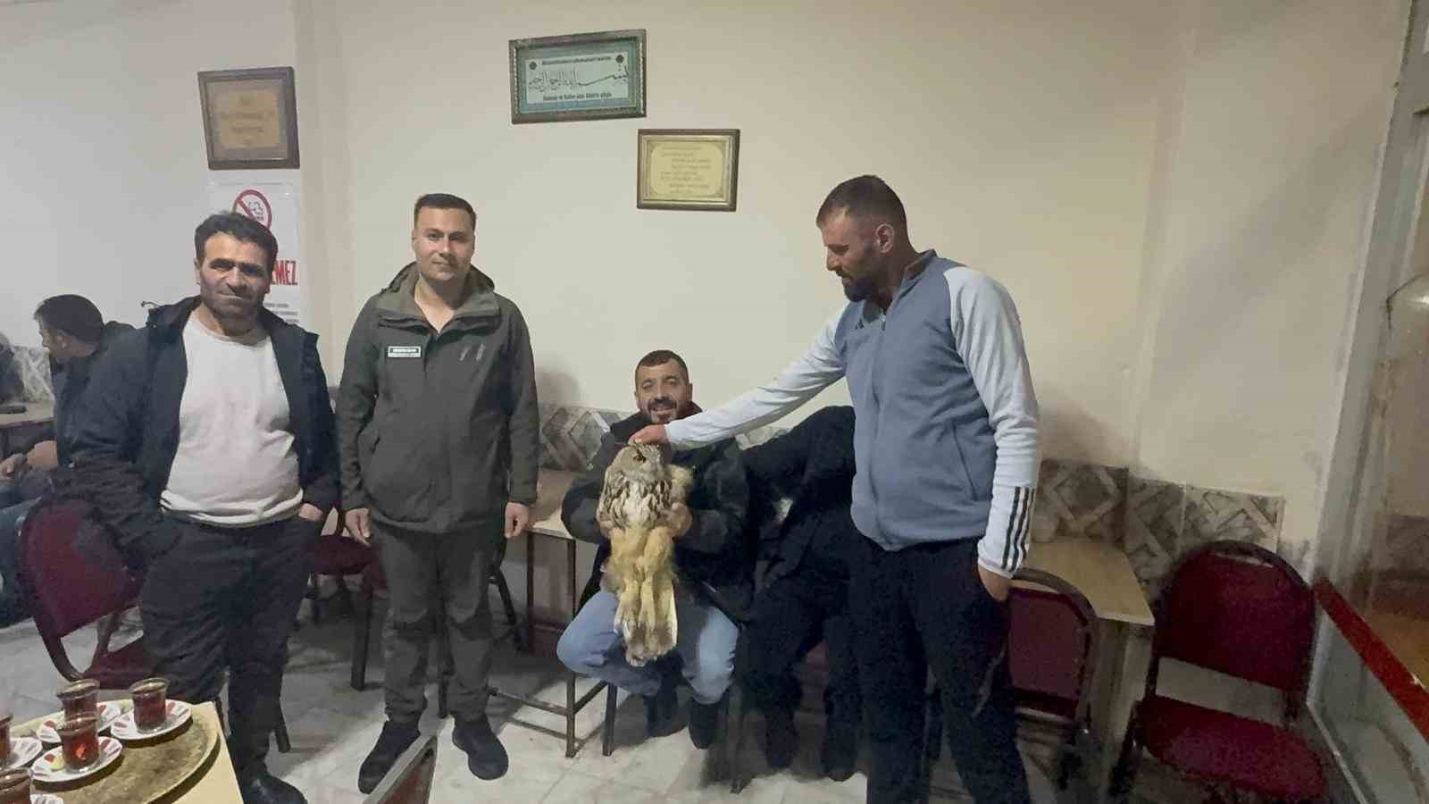 karsta yarali puhuya sefkat eli 2 RyHRH7kI