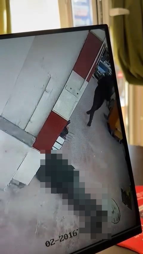 karstan kocaeliye uzanan dava kan davasi niyeti gutmedim 4 zPnfFMfw