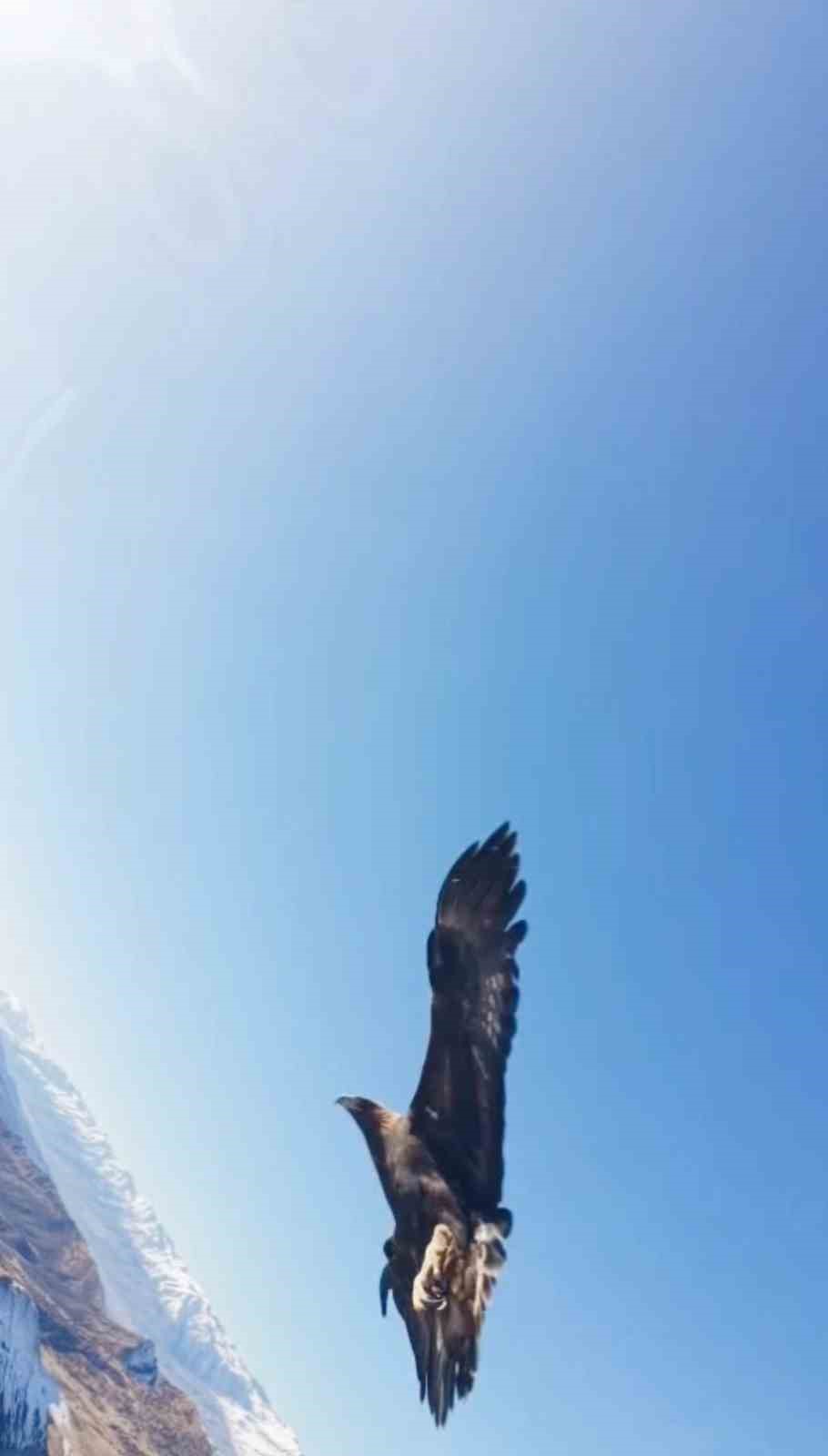 kartal dronu kapti dagin zirvesine birakti o anlar kamerada 0 qAzOUcAV