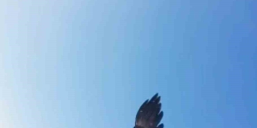 kartal-dronu-kapti-dagin-zirvesine-birakti-o-anlar-kamerada-H68GKYkK.jpg