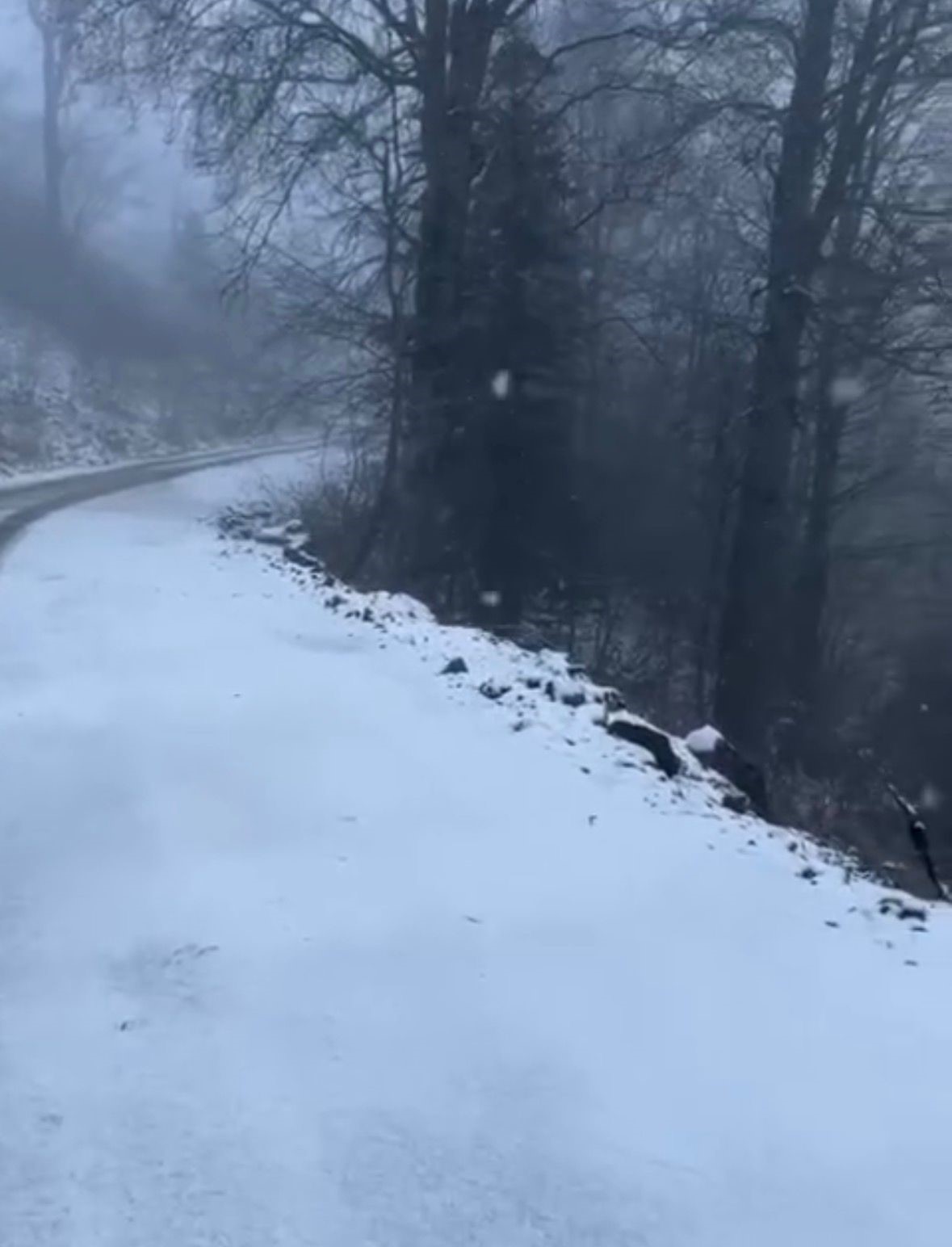 kartepe beyaza burundu kartpostallik goruntuler ortaya cikti 2