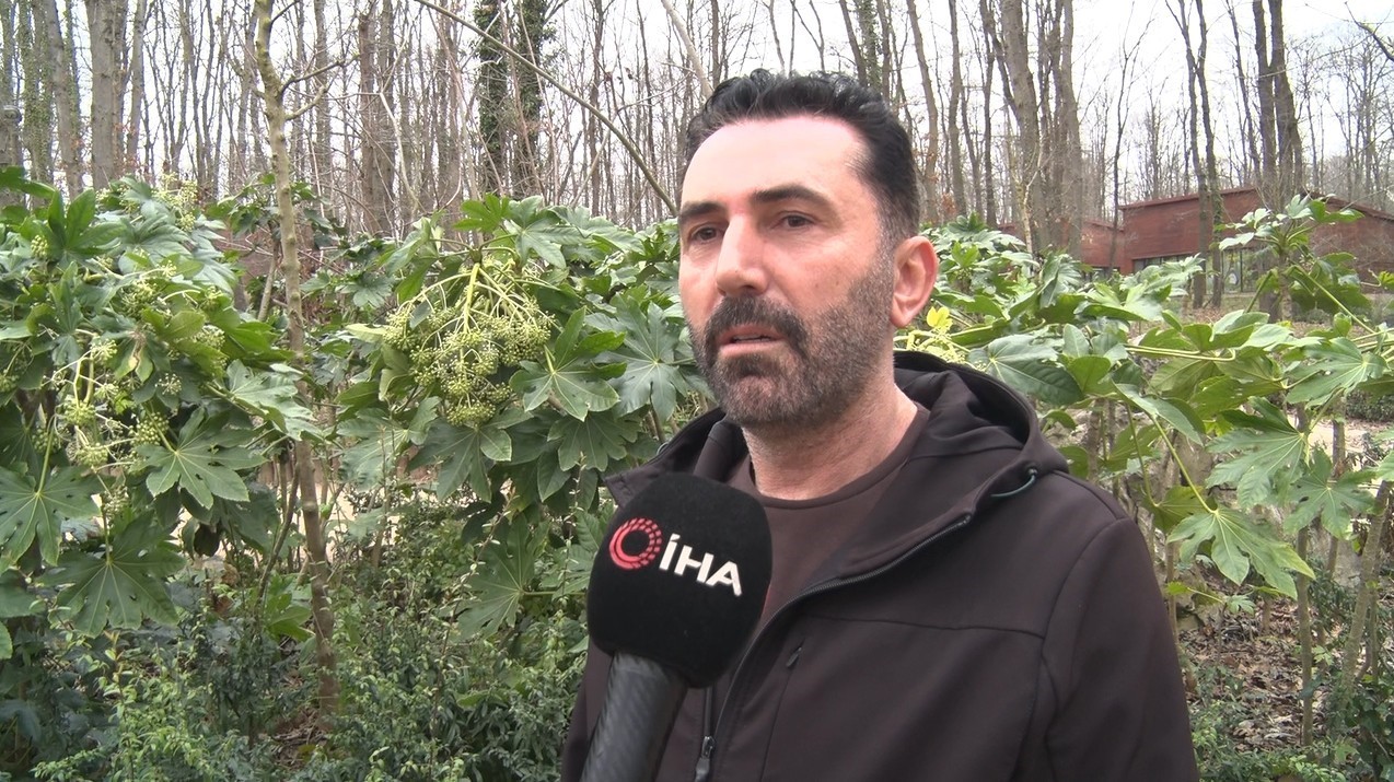 Kartepe’deki kavganın en büyük mağduru çocuklar oldu: "Babama 5 kişi saldırdılar, kafasını ATV’ye vurdular" 6 kartepedeki kavganin en buyuk magduru cocuklar oldu babama 5 kisi saldirdilar kafasini atvye vurdular lvAAshrb
