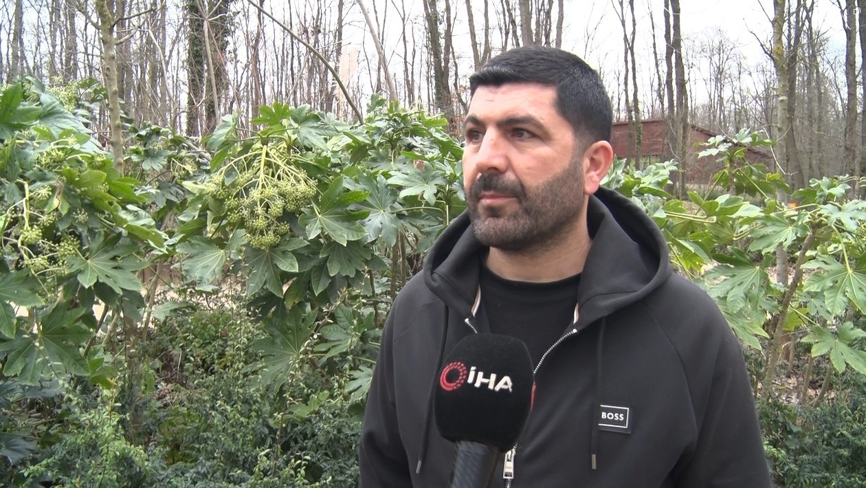 Kartepe’deki kavganın en büyük mağduru çocuklar oldu: "Babama 5 kişi saldırdılar, kafasını ATV’ye vurdular" 5 kartepedeki kavganin en buyuk magduru cocuklar oldu babama 5 kisi saldirdilar kafasini atvye vurdular