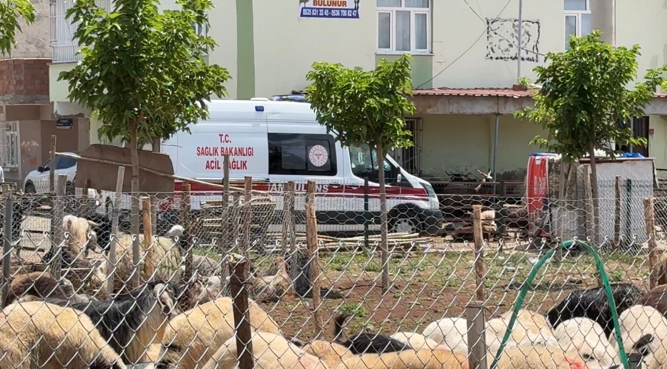 kasaplardan kurban bayrami oncesi acemilik uyarisi 2 pPzOHdrY