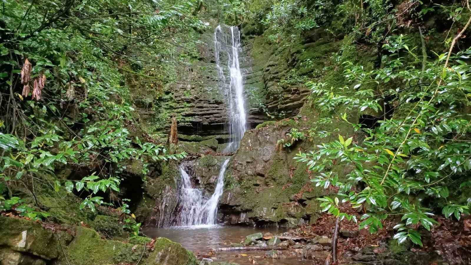 kastamonu guney karadeniz jeoparki icin resmi basvuru yapildi 2 qVXq1ClF