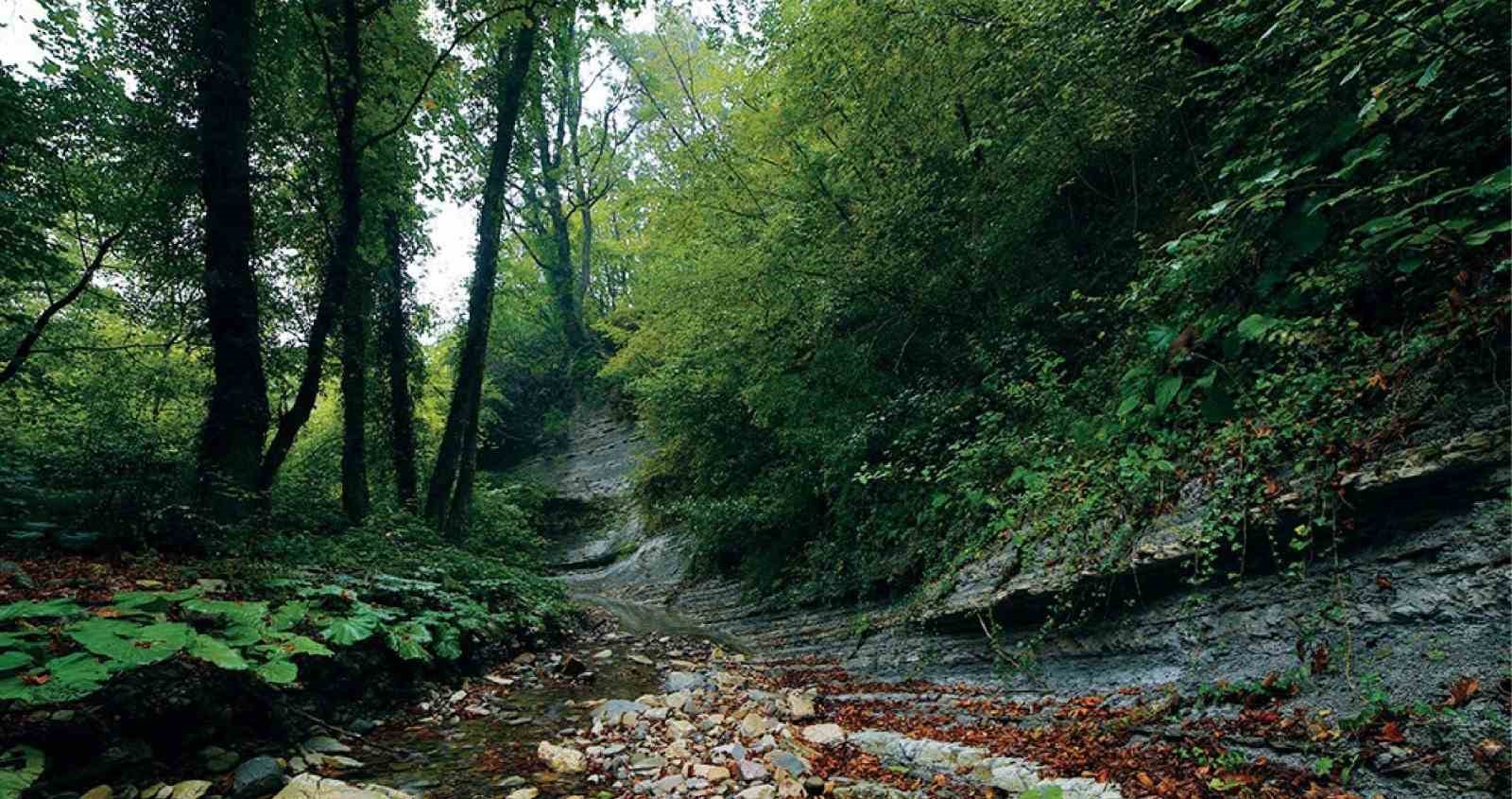 kastamonu guney karadeniz jeoparki icin resmi basvuru yapildi 4 DddewTJd