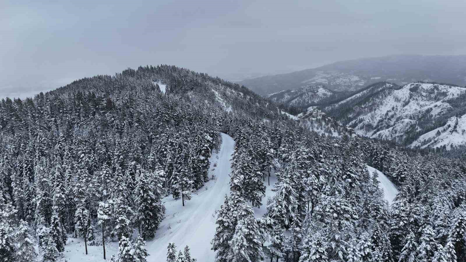 kastamonu ormanlarinda kis guzelligi 0 I4hkLjkc