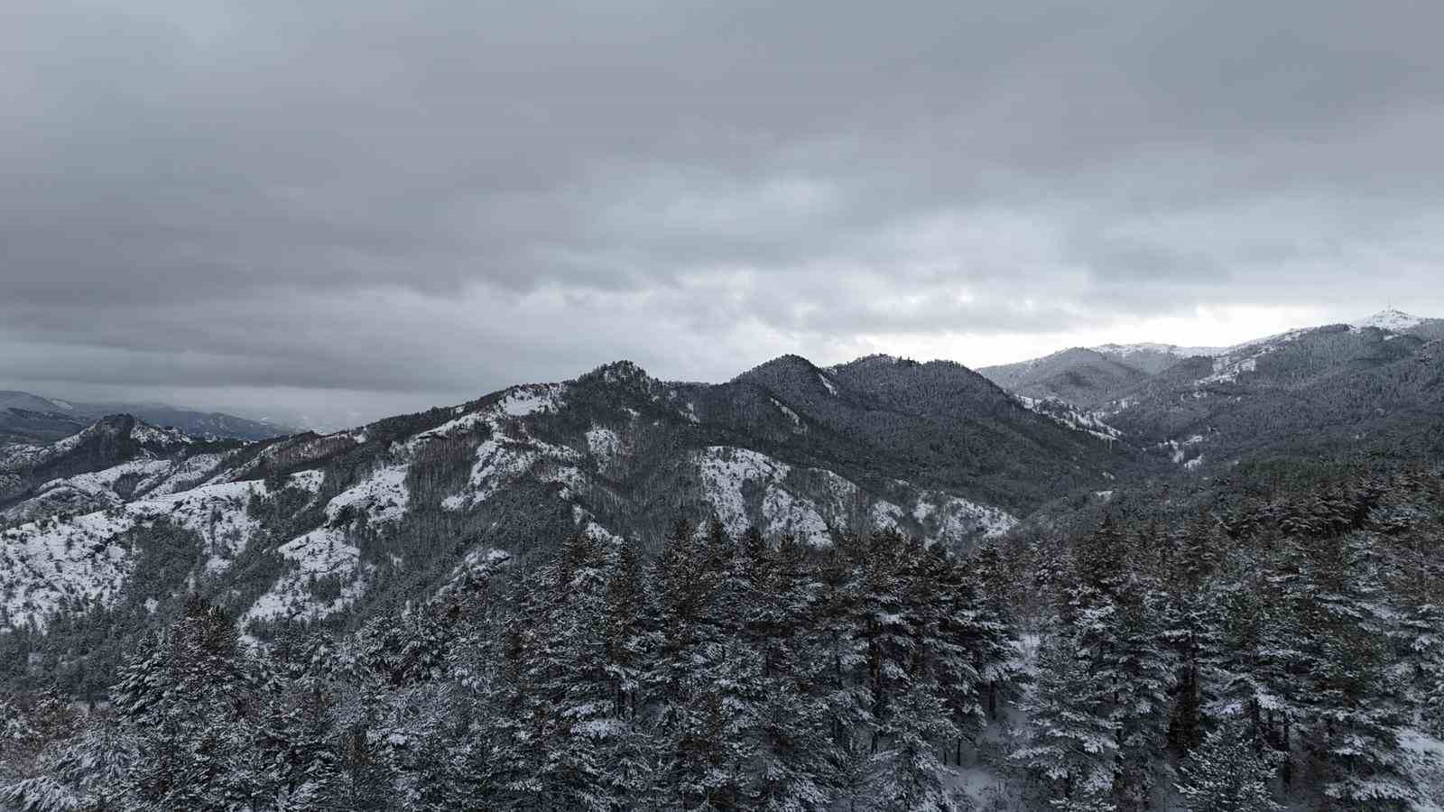 kastamonu ormanlarinda kis guzelligi 1 iiHmKNIS