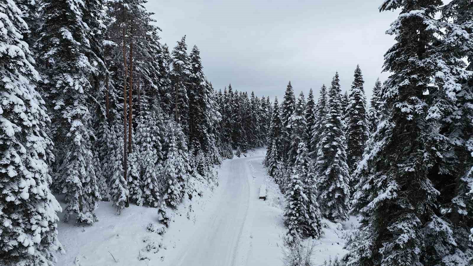 kastamonu ormanlarinda kis guzelligi 2 Sj289ZFG