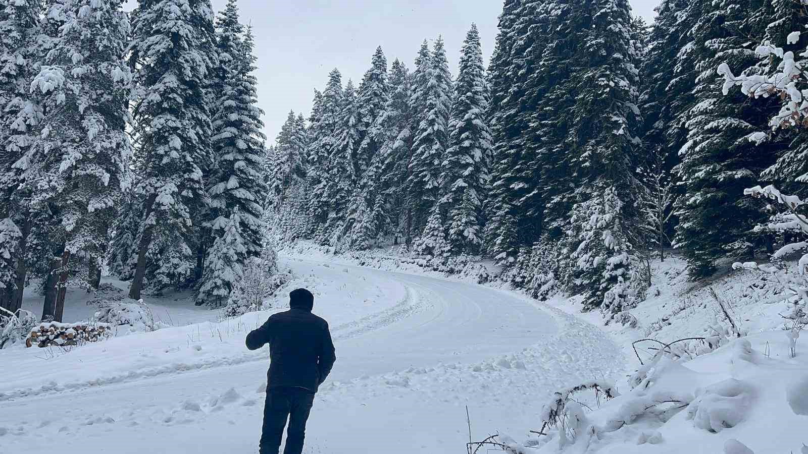 kastamonu ormanlarinda kis guzelligi 3 KXNSc7XG