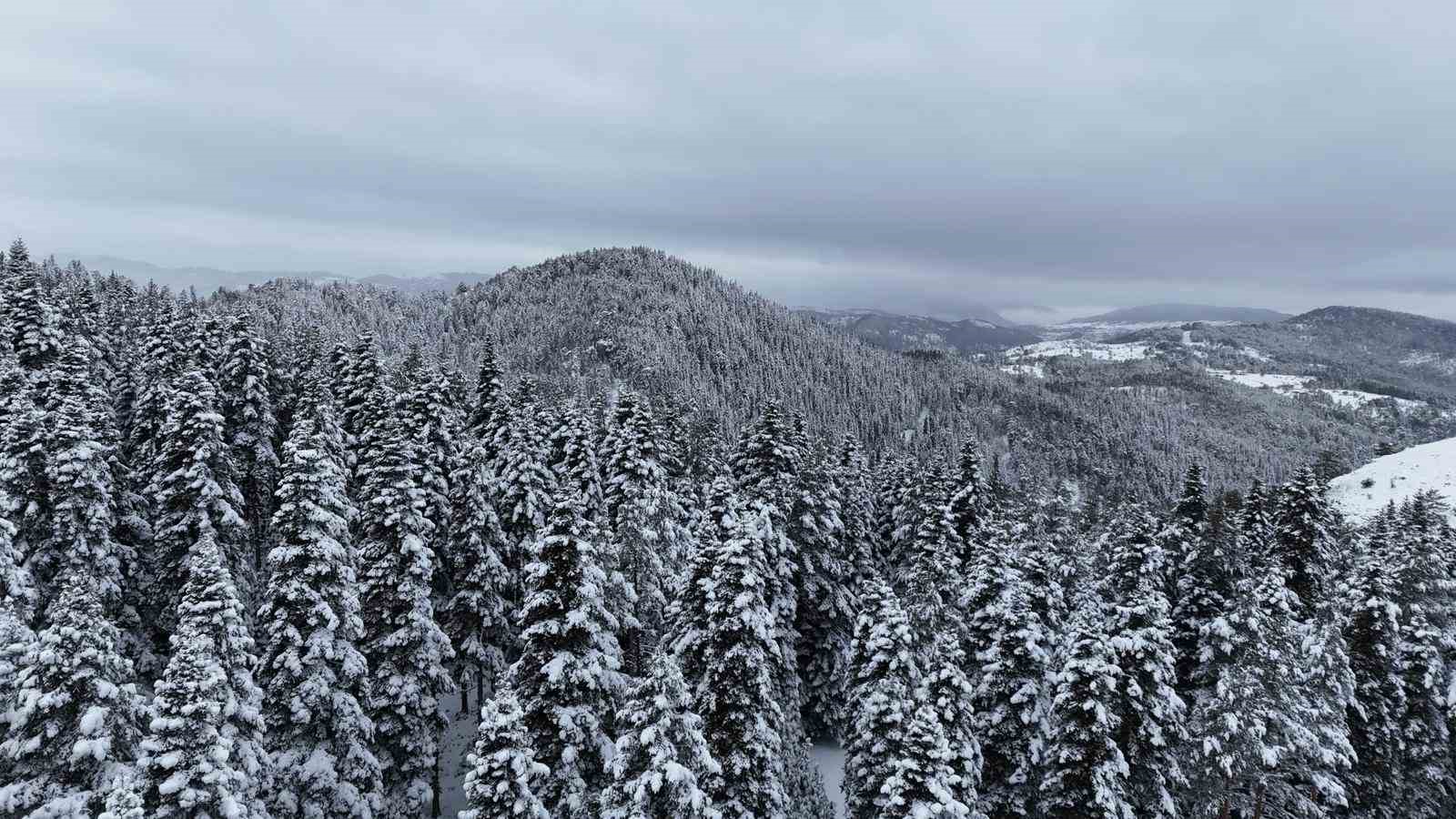 kastamonu ormanlarinda kis guzelligi 4 DmLcuTau