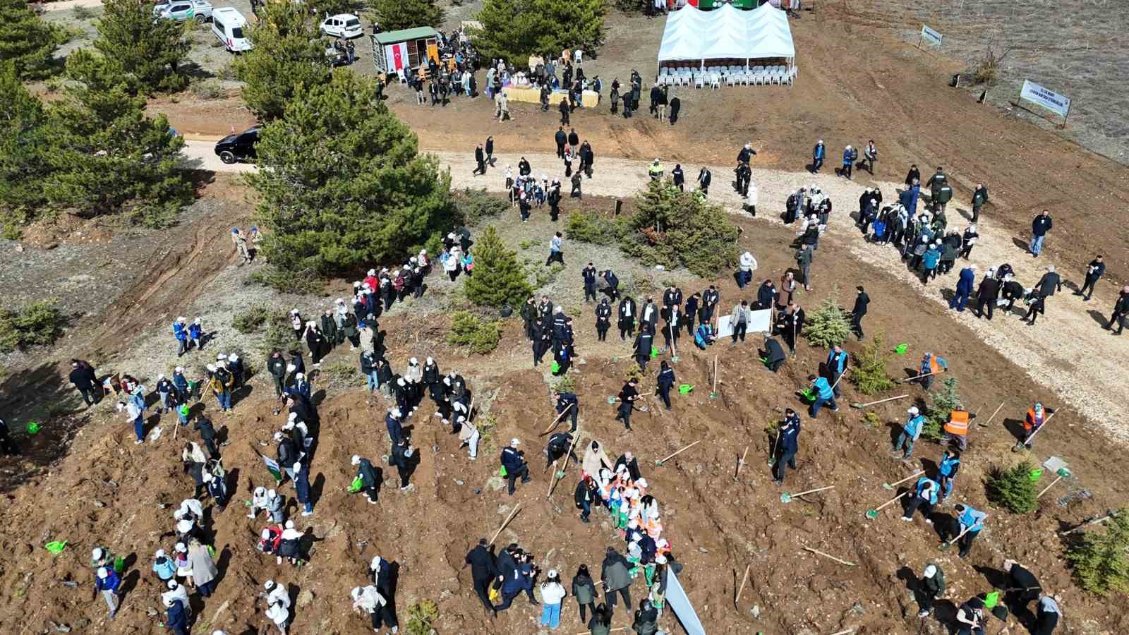 kastamonuda 210 bin fidan toprakla bulusturulacak 2 DT8t4Hsf