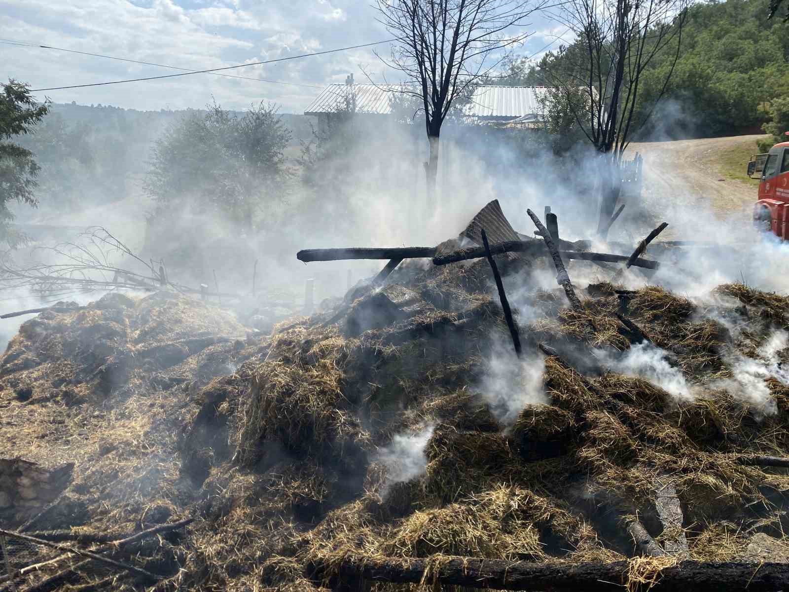 Kastamonu’da alevlere teslim olan samanlık ve balyalar küle döndü 4 kastamonuda alevlere teslim olan samanlik ve balyalar kule dondu 0 lLXEapuG